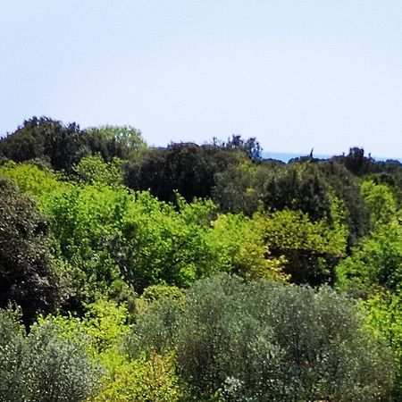Villa Mareonda - Apartments Sussurro Ровин Екстериор снимка